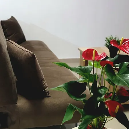 Palm Sea 17 Appartement *